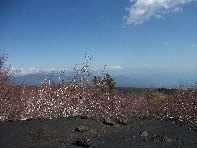 rra delle Concazze-20100402 105
